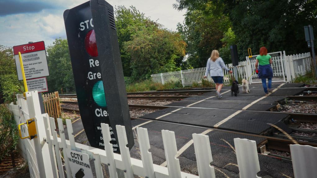 Two women walk two dogs on leads over a level crossing. A miniature stop light in the foreground shows a green light.