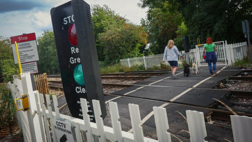 Two women walk two dogs on leads over a level crossing. A miniature stop light in the foreground shows a green light. 