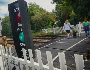 Two women walk two dogs on leads over a level crossing. A miniature stop light in the foreground shows a green light. 
